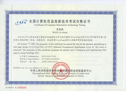 《網(wǎng)站組建與維護(hù)精品課 構(gòu)建穩(wěn)固、高效的數(shù)字門戶》